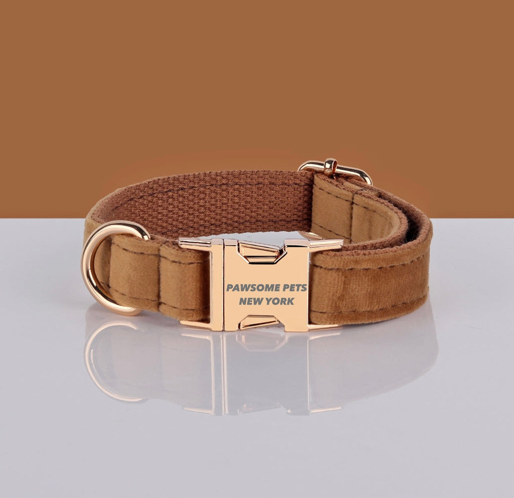 Adjustable Nylon Dog & Cat Collar – product view