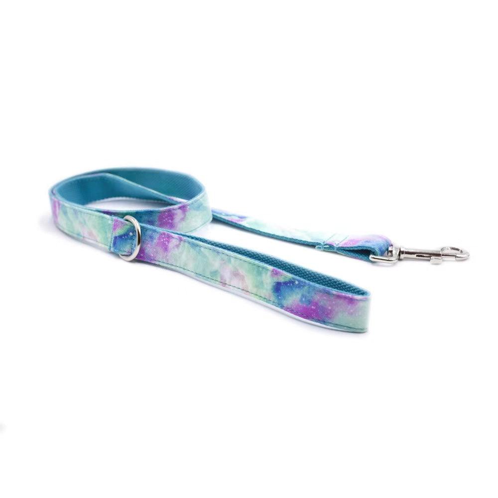 Classic Fabric Dog Leash – SKY