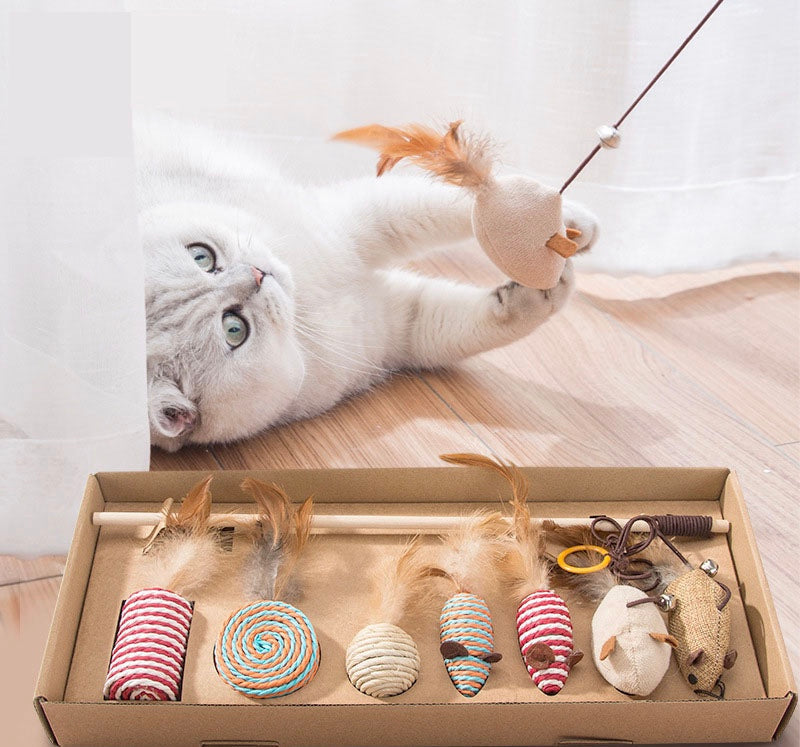 Interactive Cat Toy Assortment