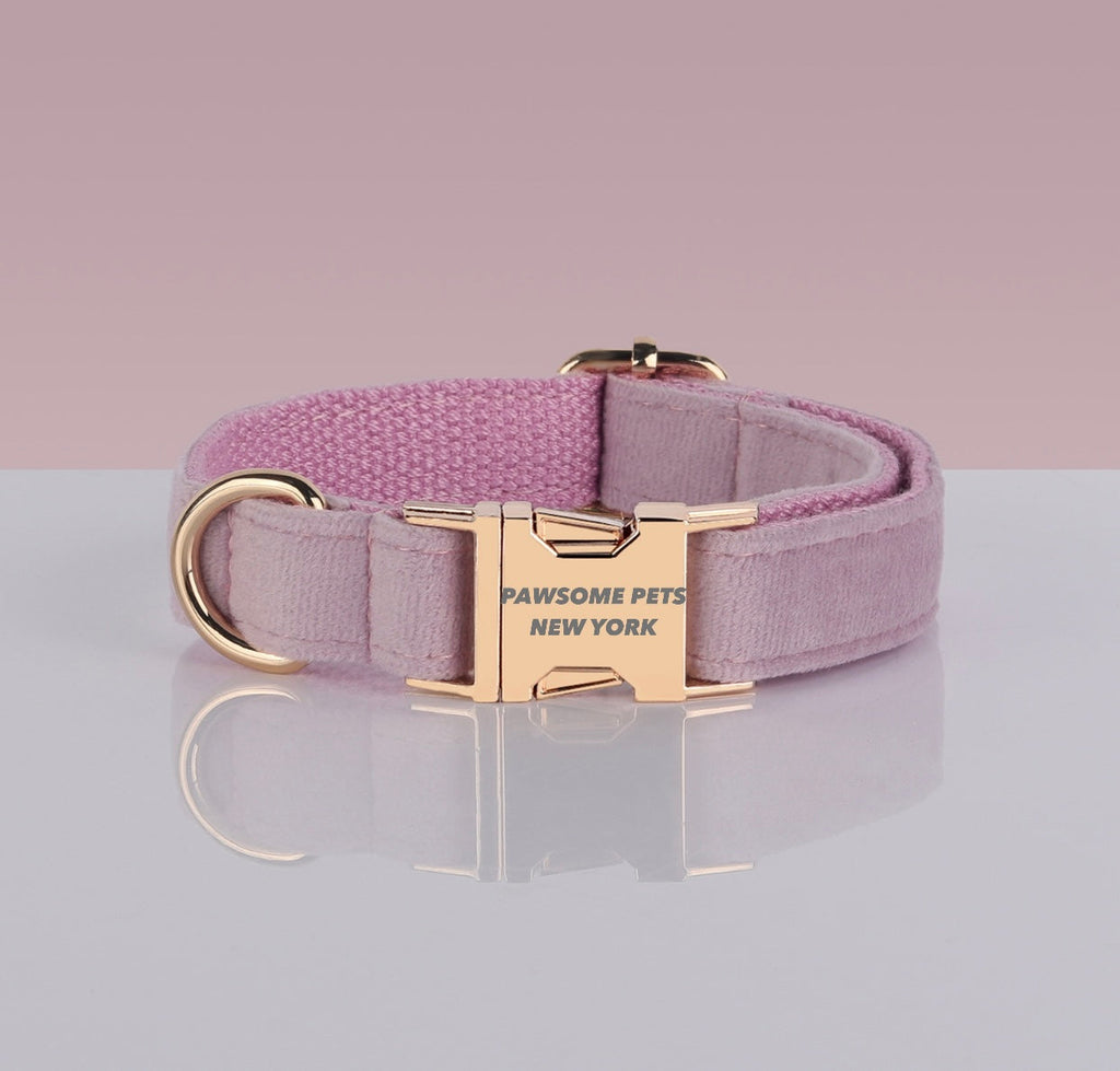 Adjustable Nylon Pet Collar – Style #10