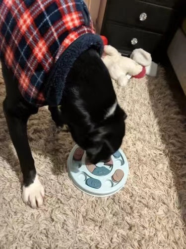 Interactive Slow Feeder Puzzle Bowl for Dogs & Cats