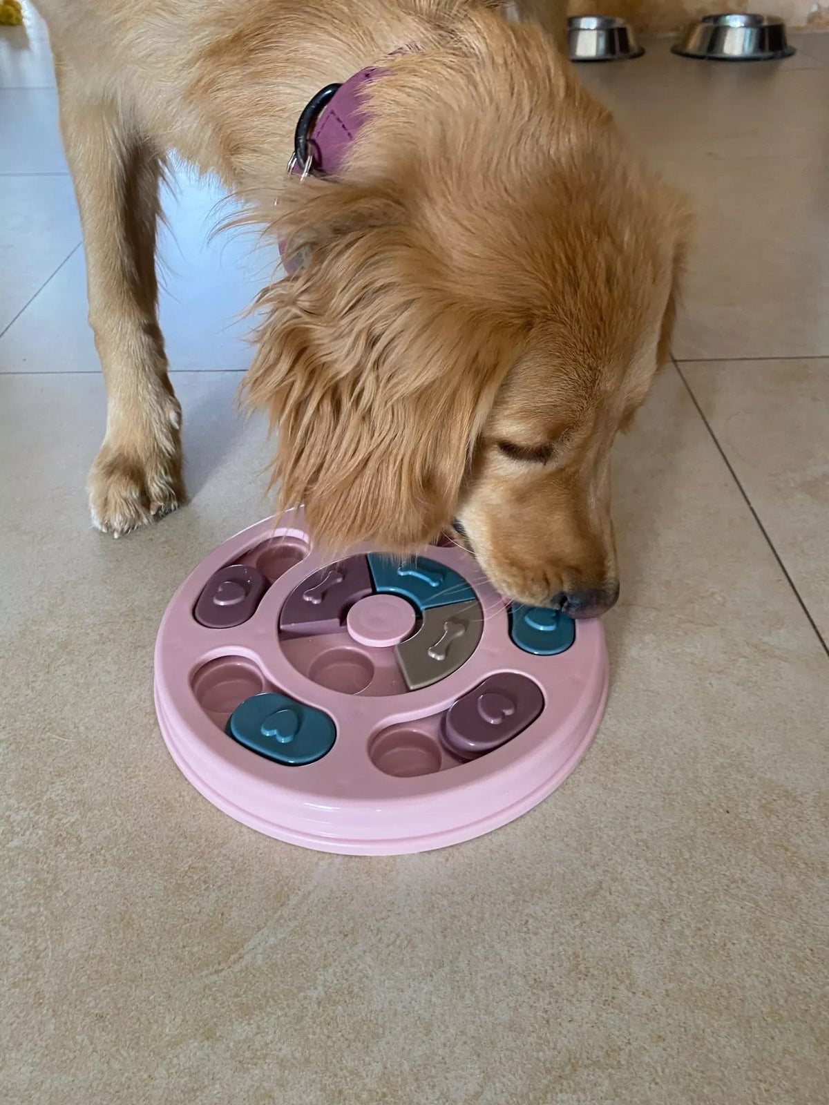 Interactive Slow Feeder Puzzle Bowl for Dogs & Cats