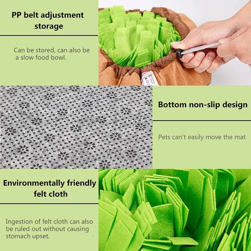 Pet Snuffle Mat & Slow Feeder