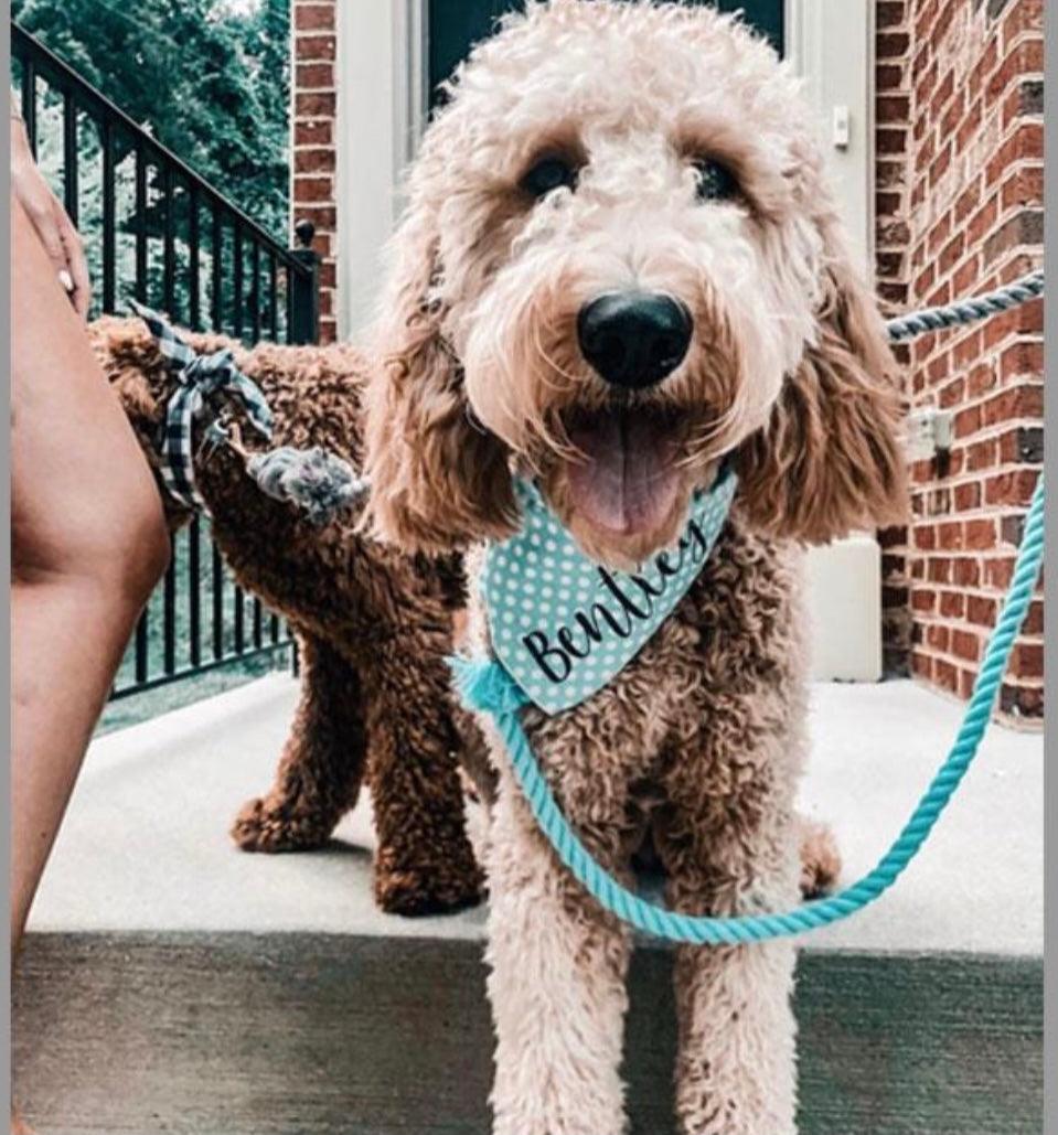 Cotton Rope Dog Leash – BUBBLES