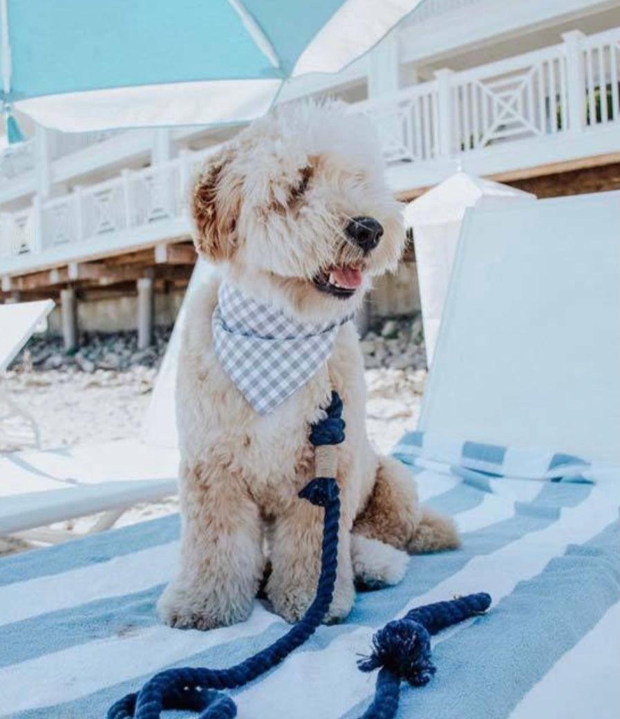 Cotton Rope Dog Leash – SUNSET