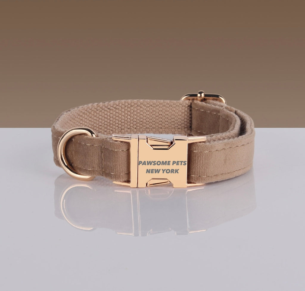 Adjustable Nylon Pet Collar – Style #8