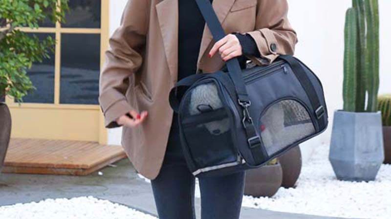 Pet Carrier Handbag with Viewing Panel – product view