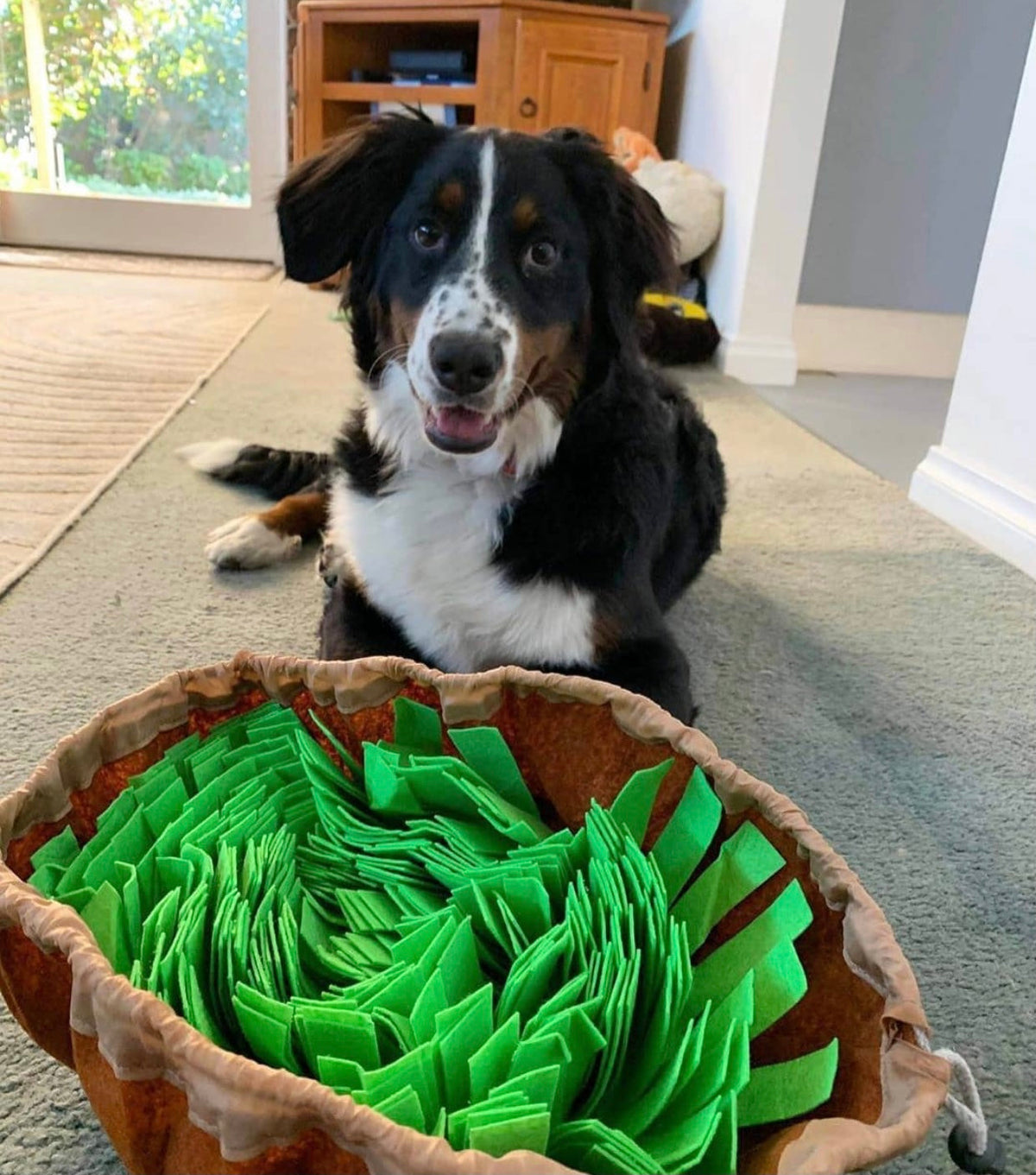 Pet Snuffle Mat & Slow Feeder