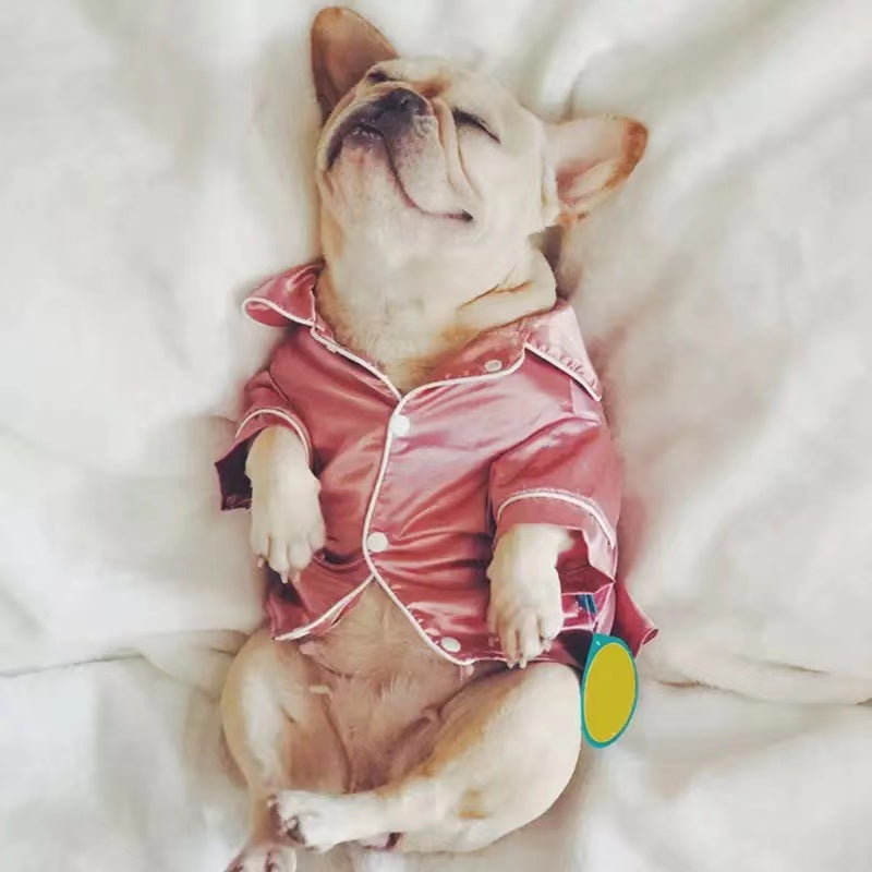 Cozy Pet Pajamas – alternate view