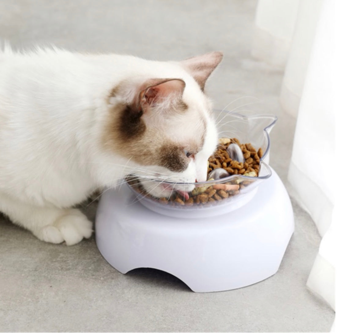 2-in-1 Elevated Cat Bowl & Slow Feeder