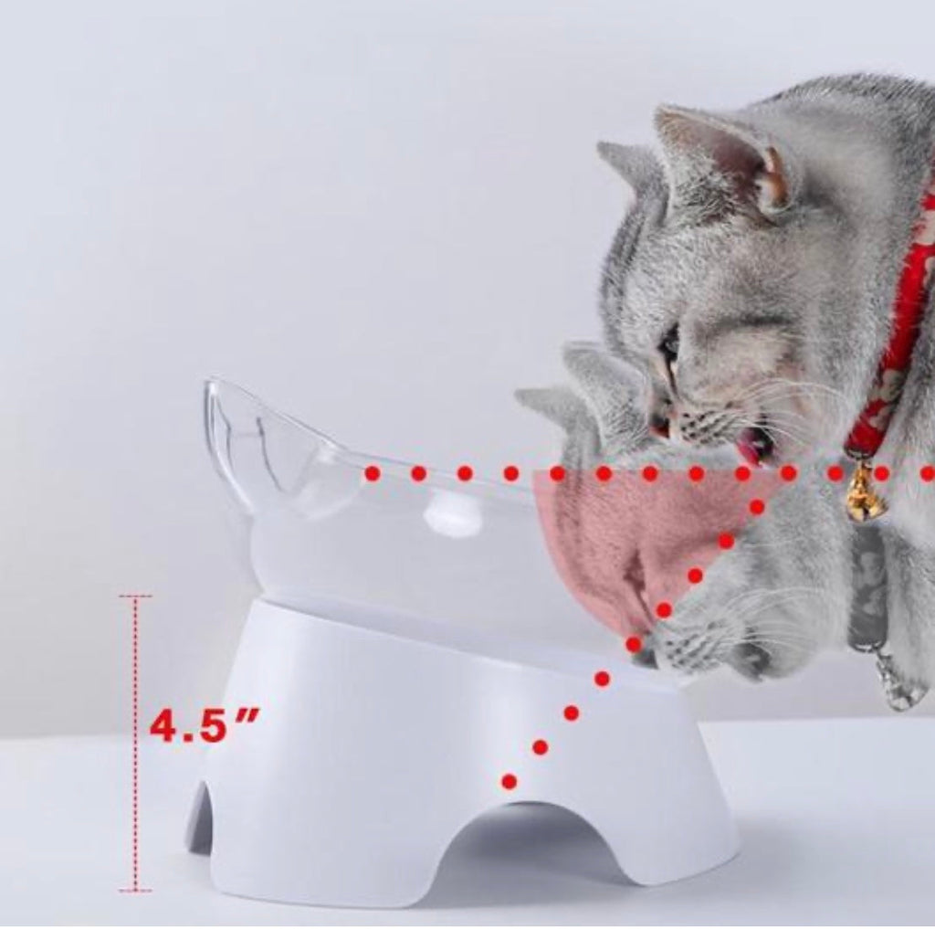 2-in-1 Elevated Cat Bowl & Slow Feeder