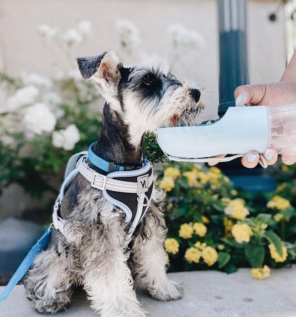 2-in-1 Portable Pet Food & Water Bottle