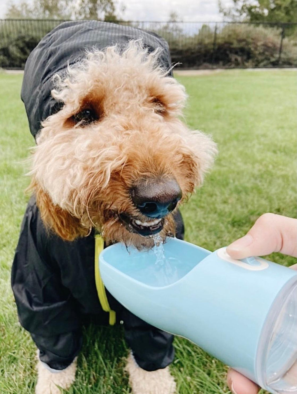 2-in-1 Portable Pet Food & Water Bottle