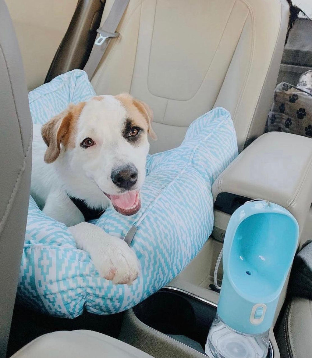2-in-1 Portable Pet Food & Water Bottle