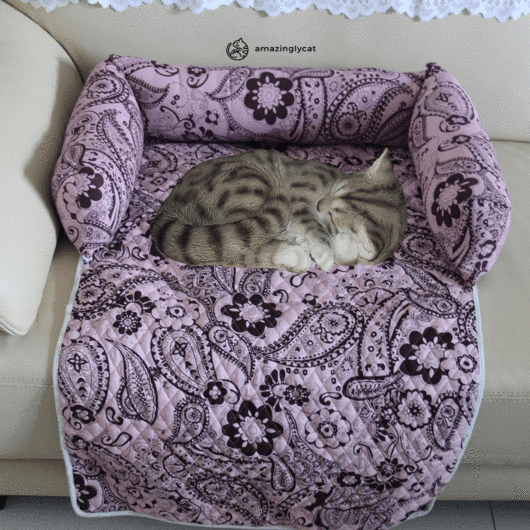 Furniture-Saver Cat Lounger – alternate view