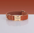 Adjustable Nylon Pet Collar – Style #2
