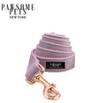 Classic Fabric Dog Leash – GRAPE