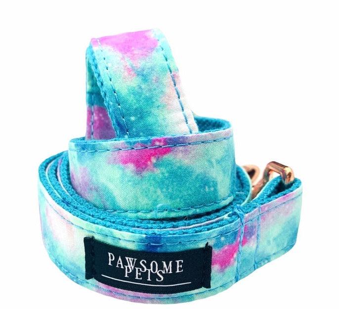 Classic Fabric Dog Leash – SKY