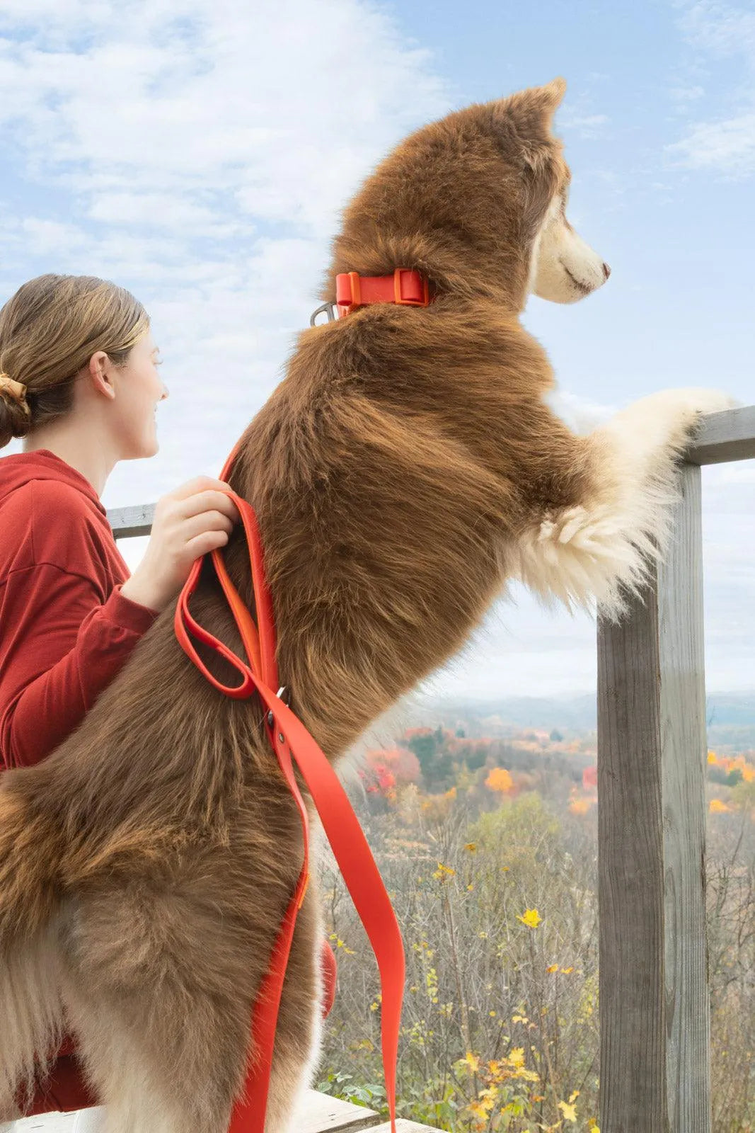 Waterproof Dog Collar – Scarlet Peaks