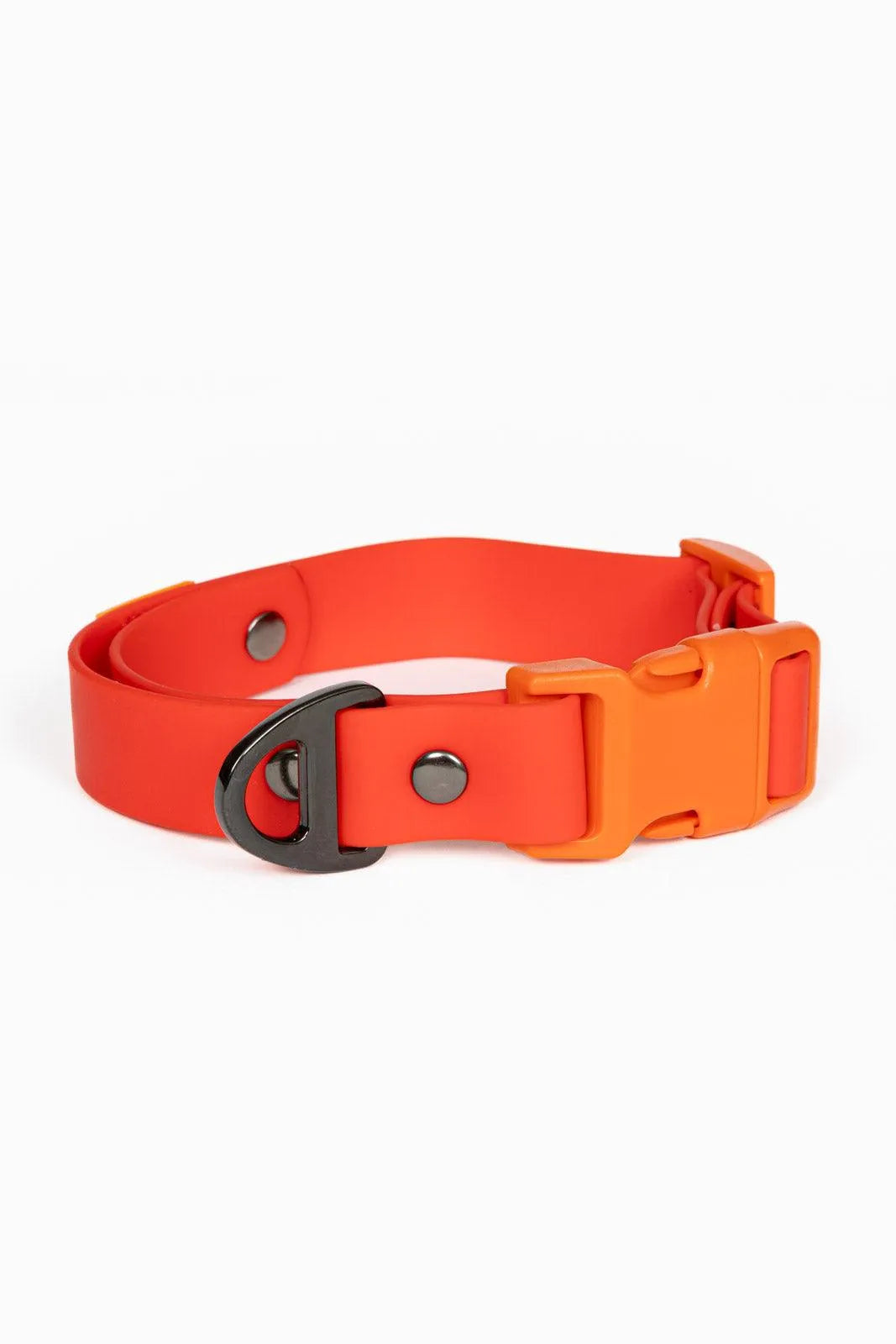Waterproof Dog Collar – Scarlet Peaks