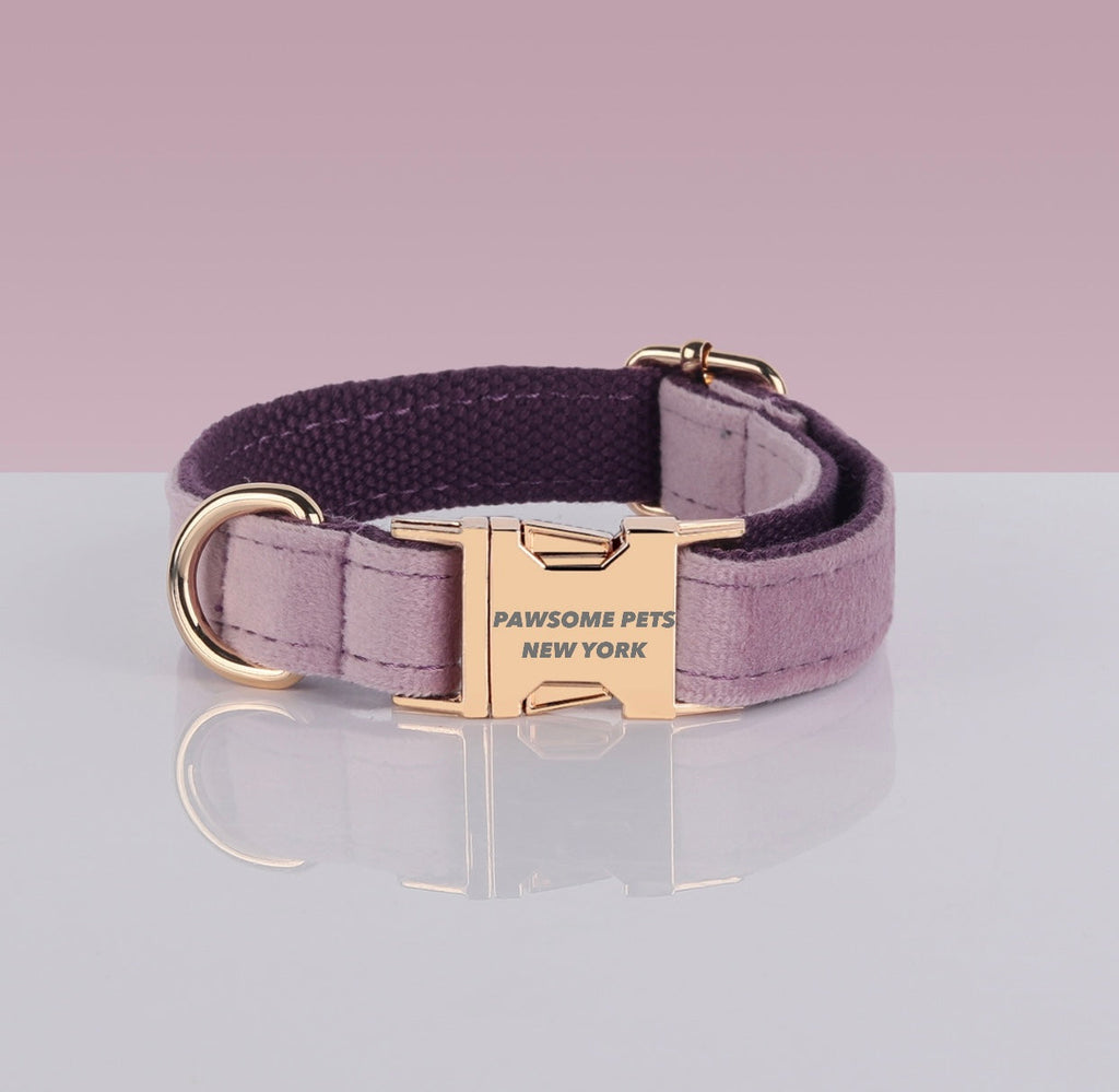 Adjustable Nylon Pet Collar – Style #18