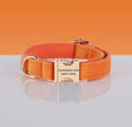Adjustable Nylon Pet Collar – Style #5