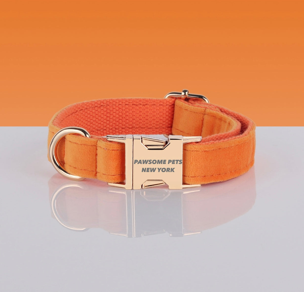 Adjustable Nylon Pet Collar – Style #5