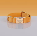 Adjustable Nylon Pet Collar – Style #4