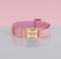 Adjustable Nylon Pet Collar – Style #3