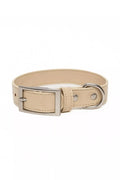 Vegan Leather Dog Collar – Champagne Fizz