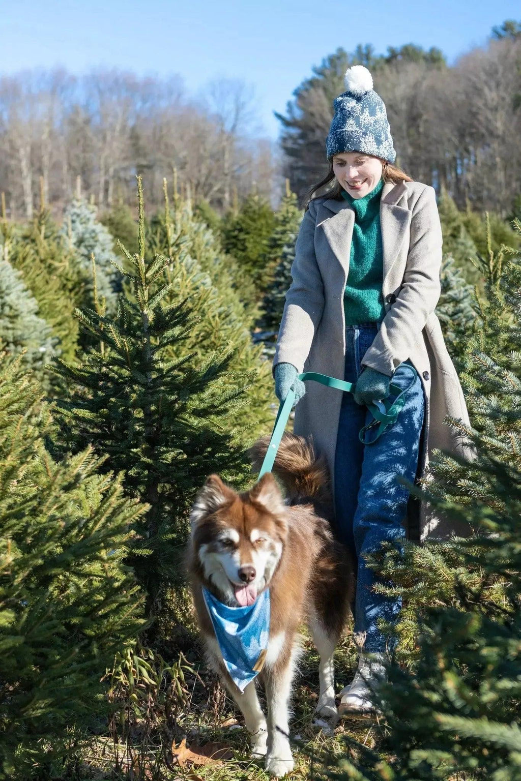 Waterproof Dog Collar – Siberian Spruce