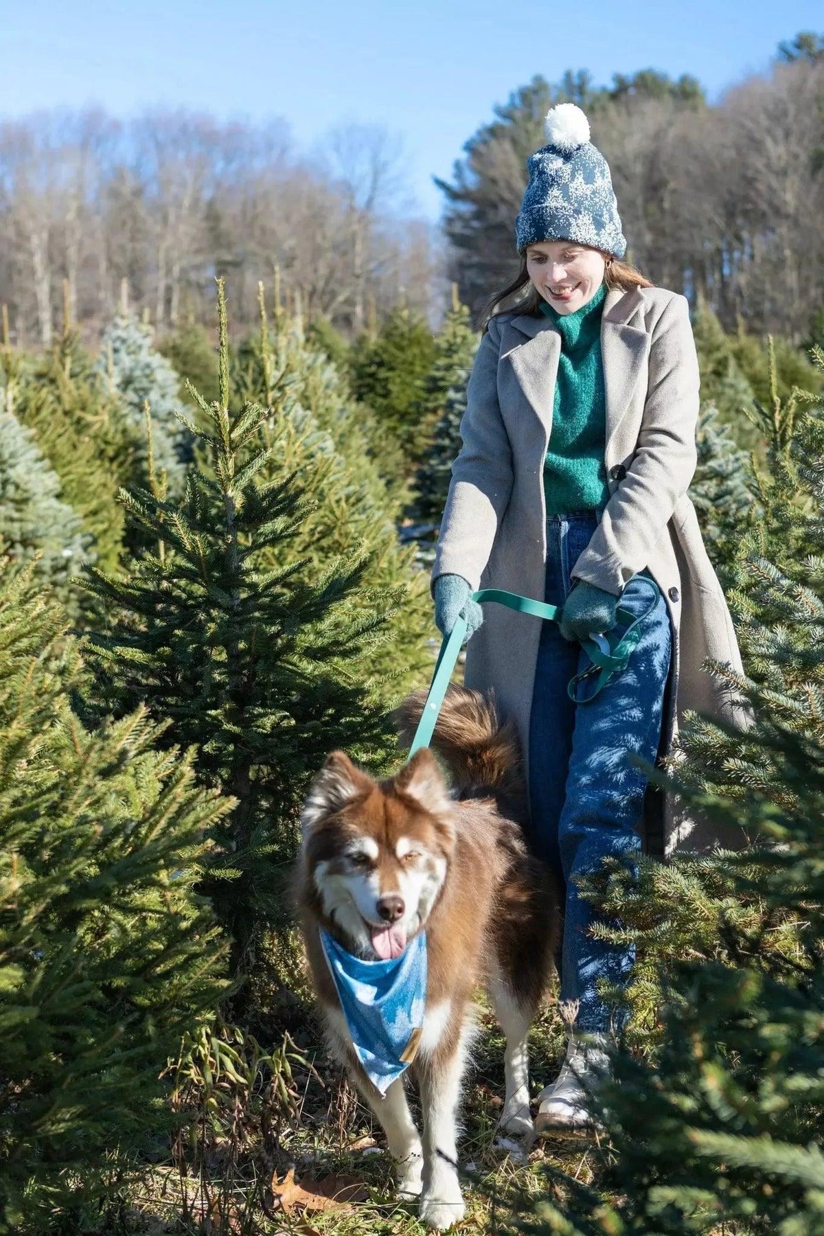 Waterproof Dog Collar – Siberian Spruce