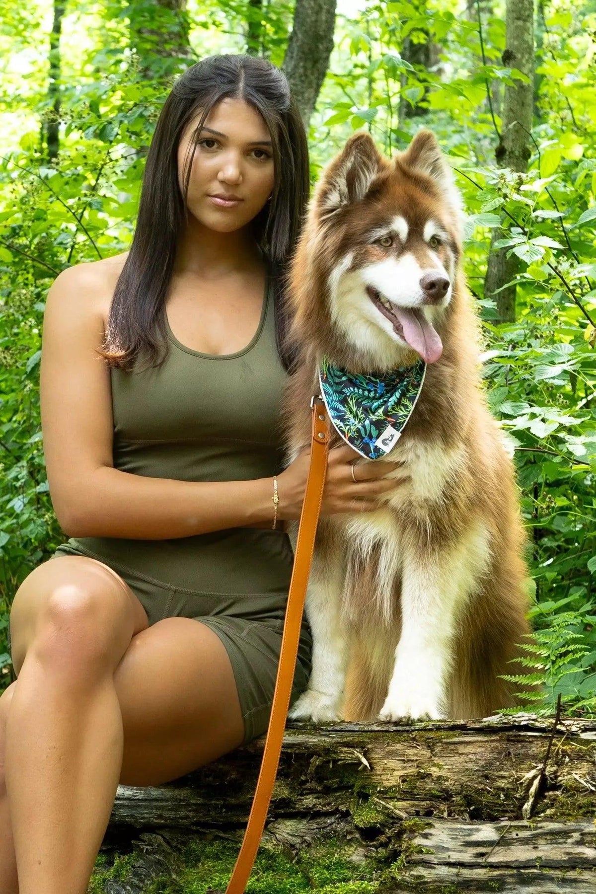 Vegan Leather Dog Collar product photo