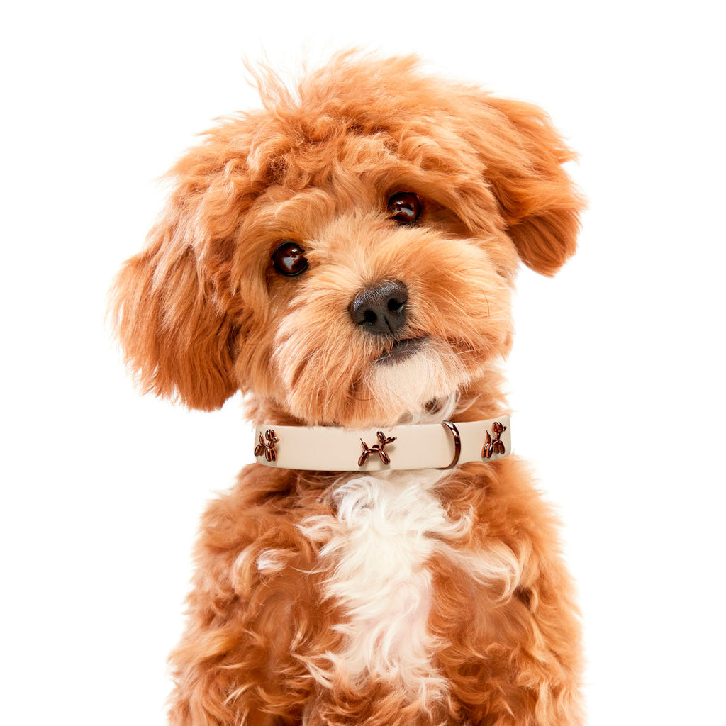 Beige Adjustable Dog Collar – alternate view