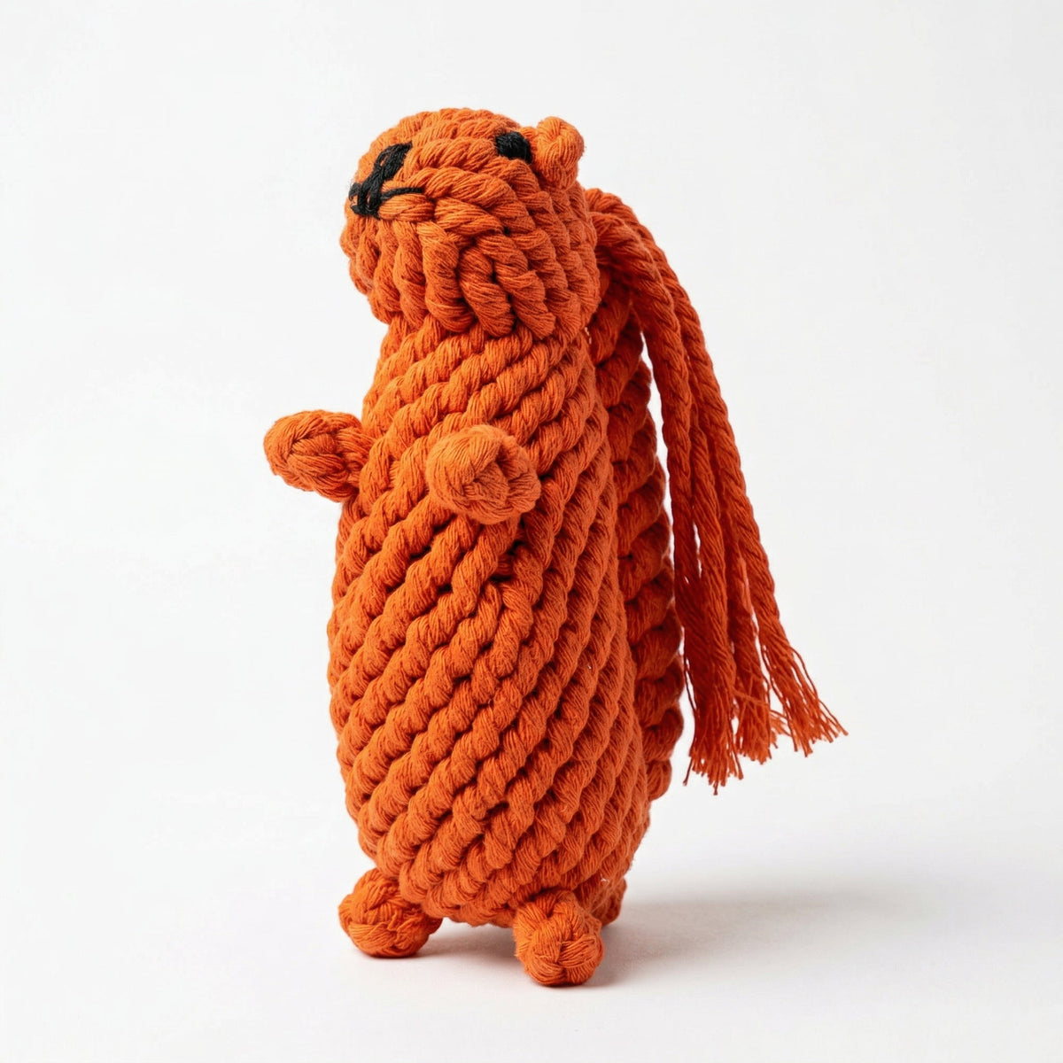 Oliver the Squirrel Rope Toy-1